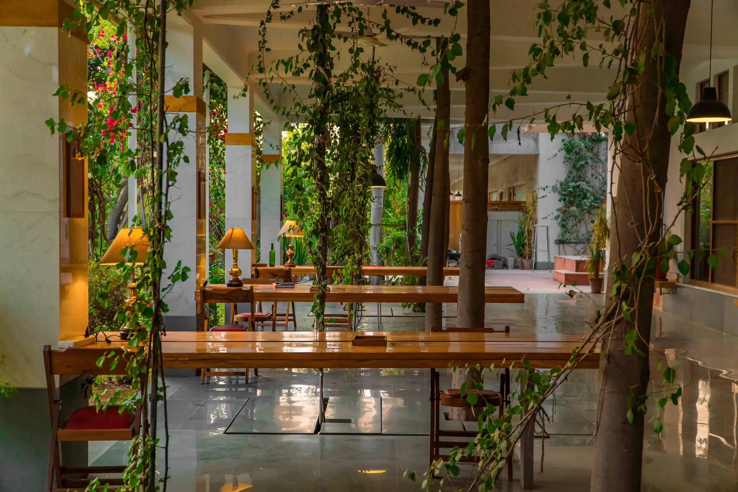 The covered dining pavilion at PushkarOrganic, long wooden tables under bougainvillea and hanging vines