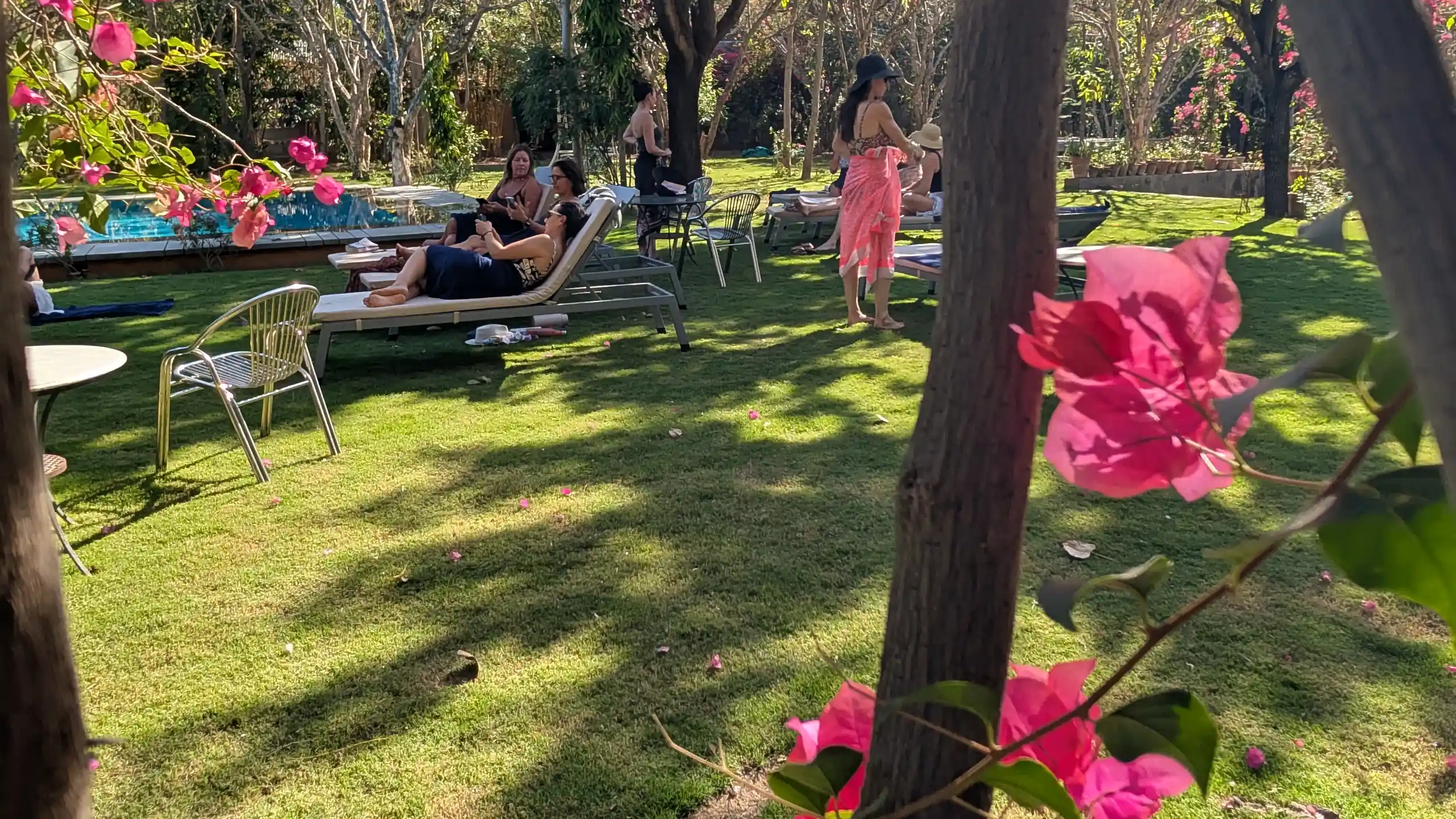 Guests in conversation at golden hour in the garden