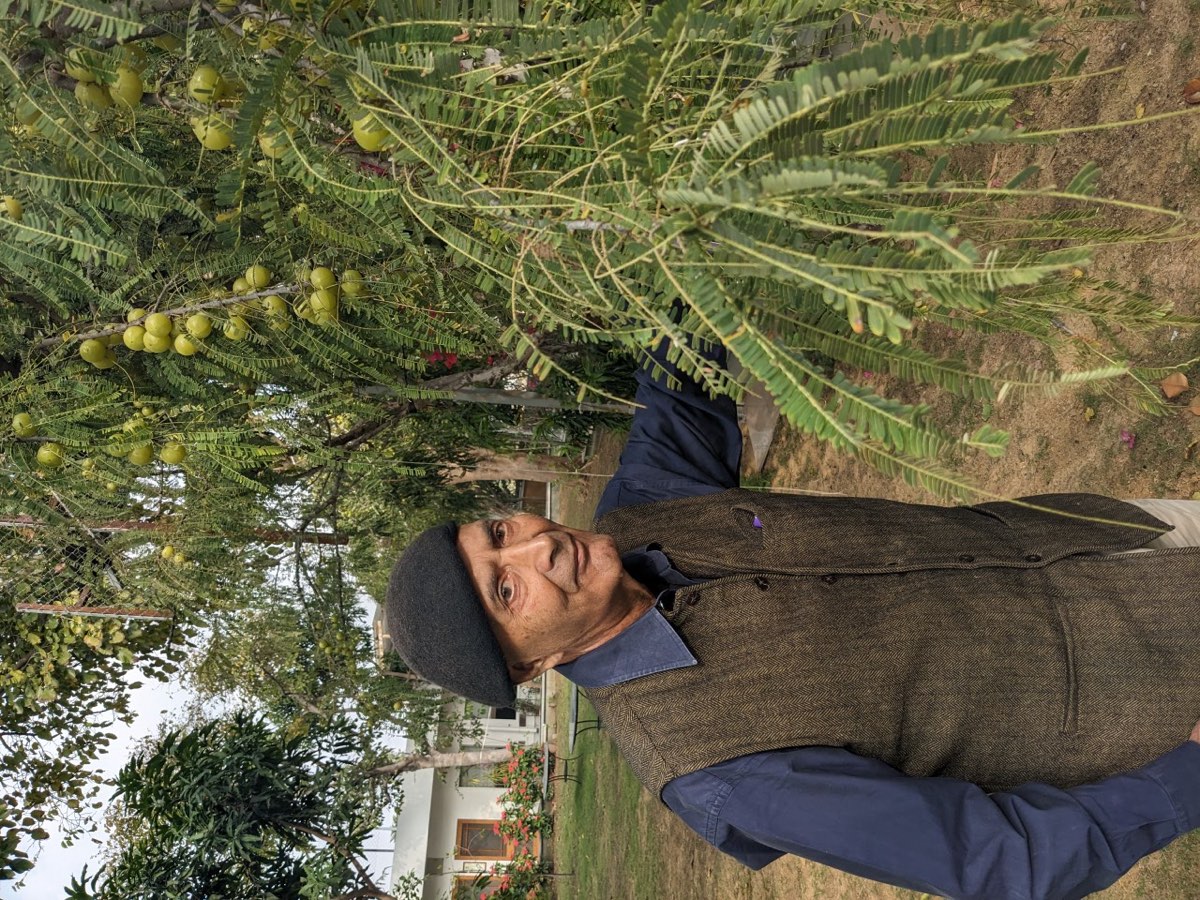 Karni Fateh Singh with amla fruit