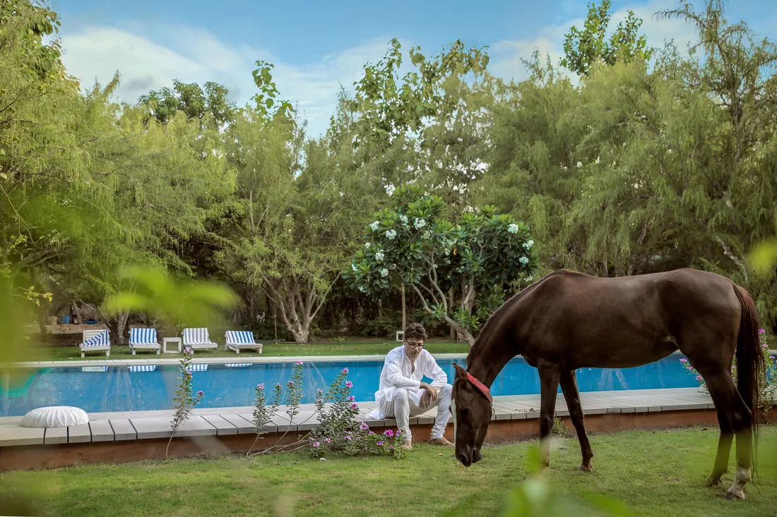 Horse beside the pool on the farm
