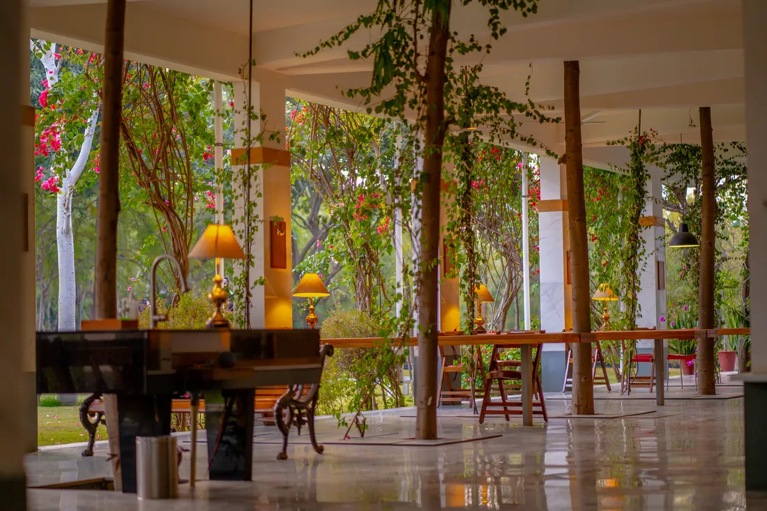The open dining pavilion among the trees, built with obsession — PushkarOrganic