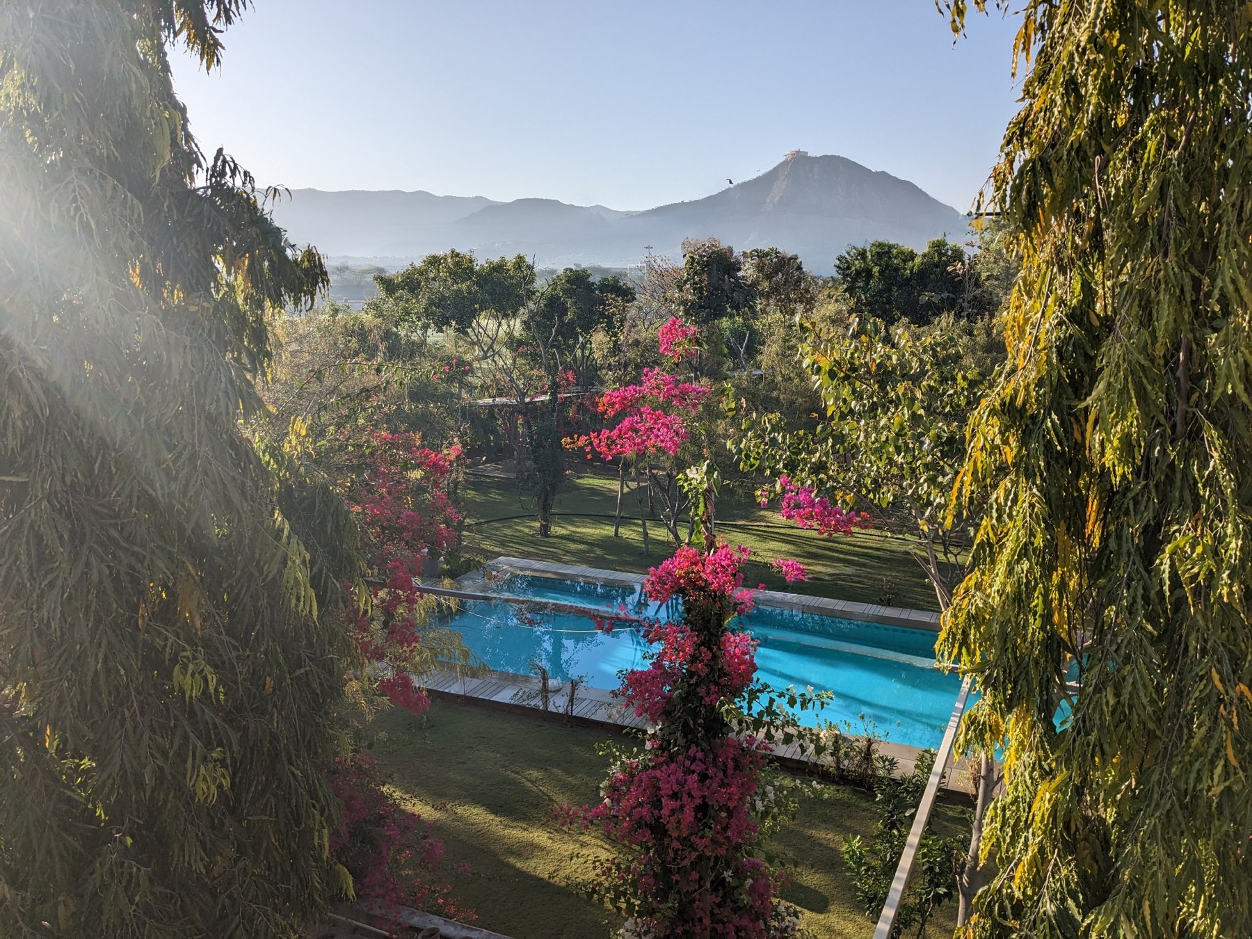 The pool surrounded by bougainvillea
