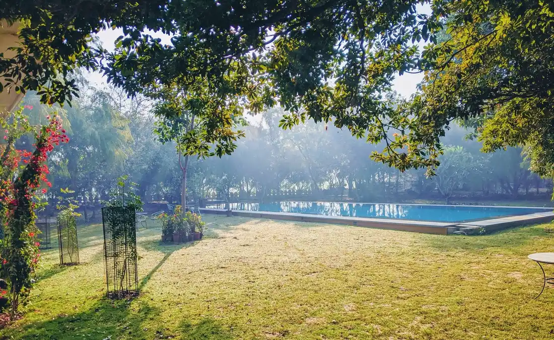 The pool under the garden canopy