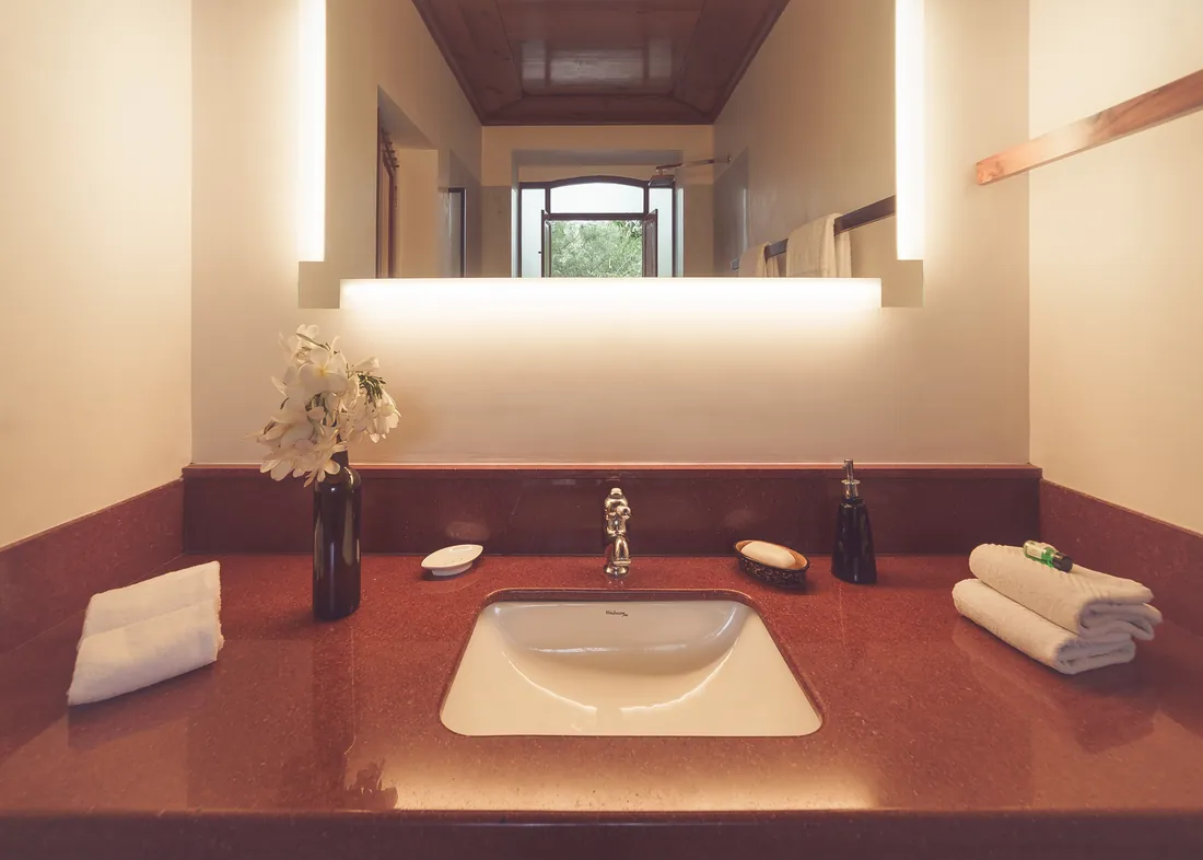 The bathroom counter, basin, and mirror