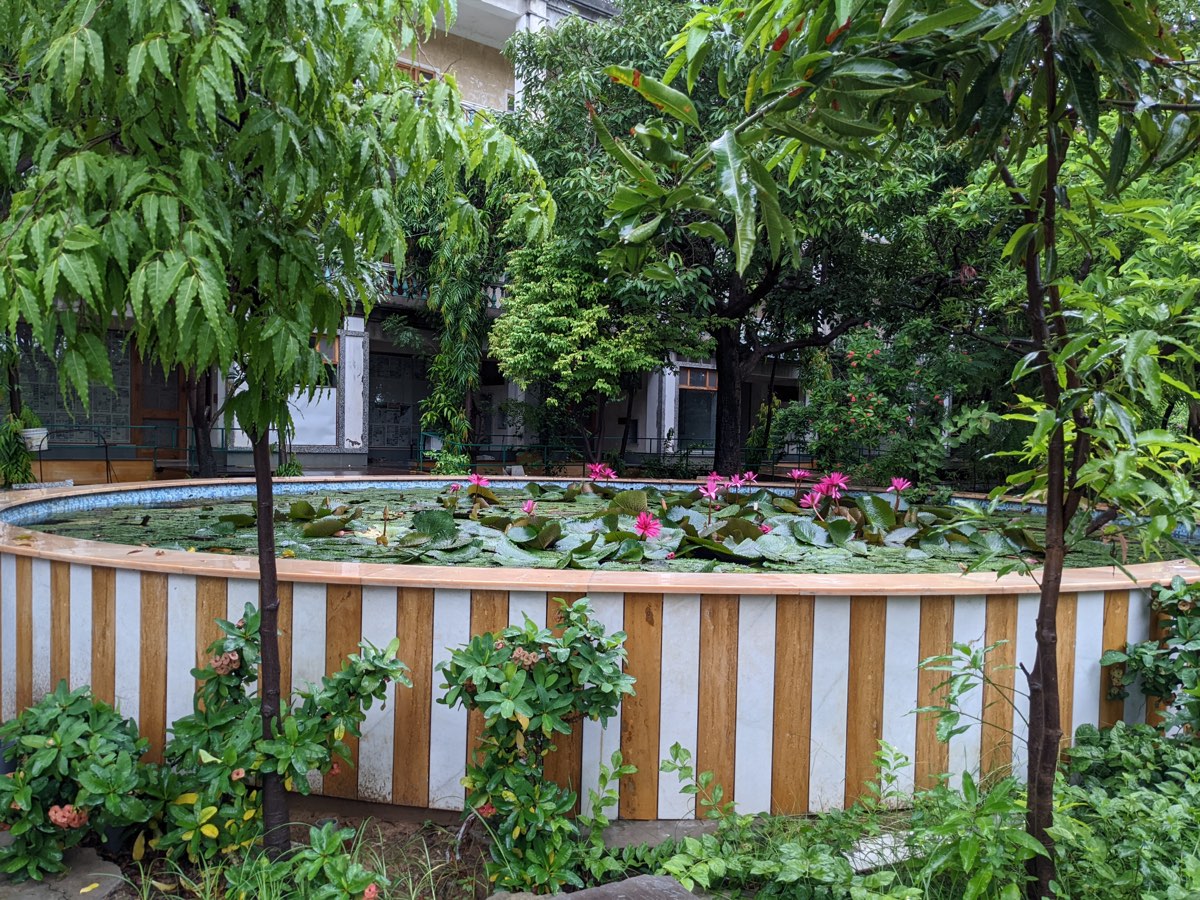The Suite's private garden — lily pond and trees