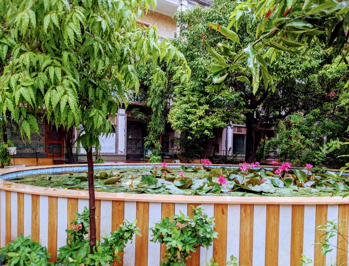 The private garden — flowers and seating